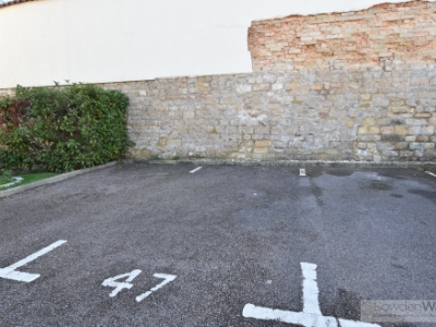 Picture 8